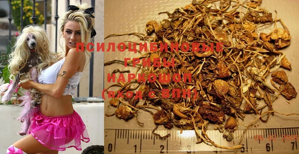 круглые Медвежьегорск